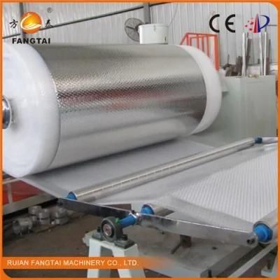 Fangtai Double Layer Air Bubble Film Making Machine (FTPE-1000) Ce Certification