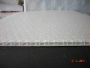 PP Honeycomb Panel Production Line (DSY-FWB)