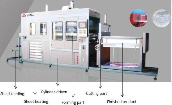 Low Cost Automatic Flat-Plate Aluminum-Plastic Lowest Price Capsule Pill Pharma Blister Packing Machine