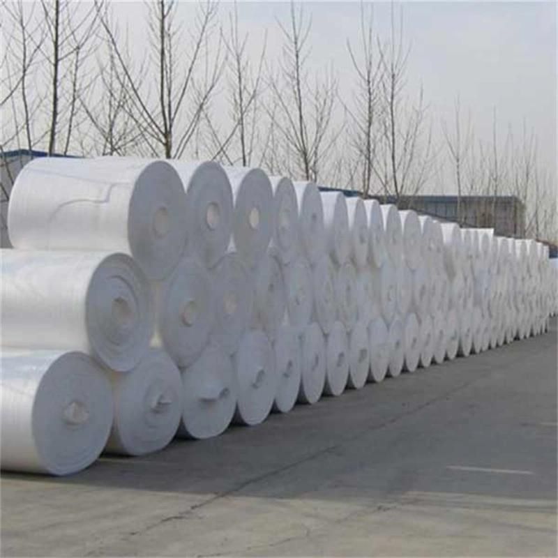 Disposable Foam Food Box Machine PS Foam Sheet Extrusion Line