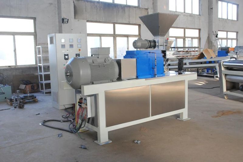 Ce Certified Powder Coating/Paint Producing/Manufacturing/Production/Making High Torque/Speed Twin Screw Extruder