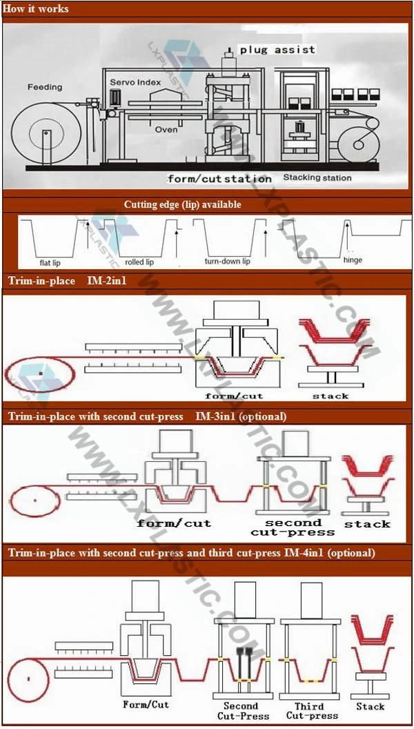 Full Automatic Plastic OPS Tray Servo 2in1/3in1/4in1 Vacuum and Pressure Thermoforming Machine with Rule-Steel-Knife