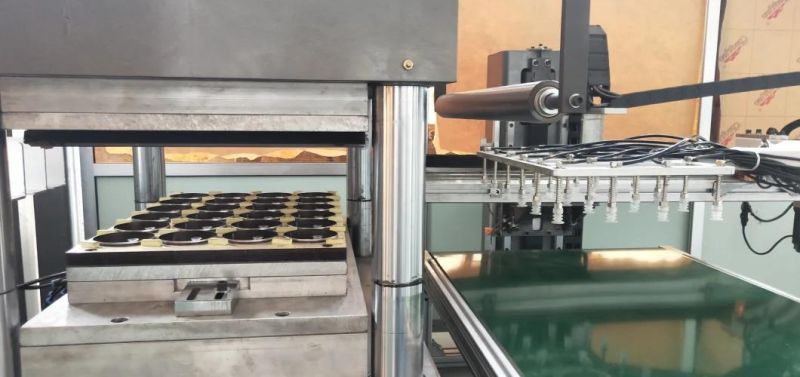 Plastic Seedling Tray Making Machine PS Slot Lid Forming Machine