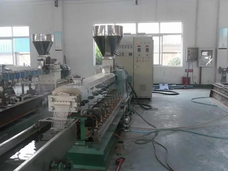 S2019 Hanghai Plastic Polymer Blending & Filling Modification Twin Screw Extruder