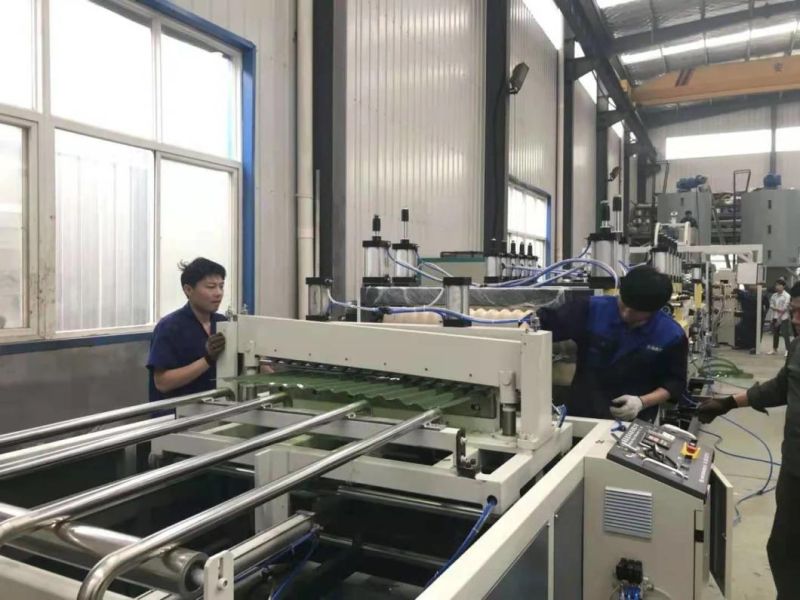 Transparent Pet Tile Production Line