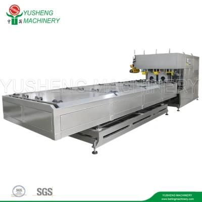 Sjz HDPE/PP/ABS/PS Bottle Twin Screw Plastic Pipe Production Line Extruder