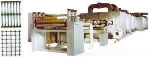 CE Certificate Single Direction Plastic Earthwork Grid Production Line (SJ-150-2000MM)