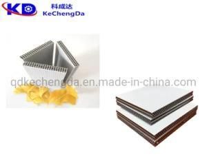 China Hot Sale PP Hollow Plastic Building Template Board Extruder