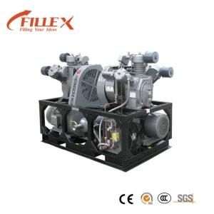 Two Stage Screw Air Compressor for Bottle Blowing Machine