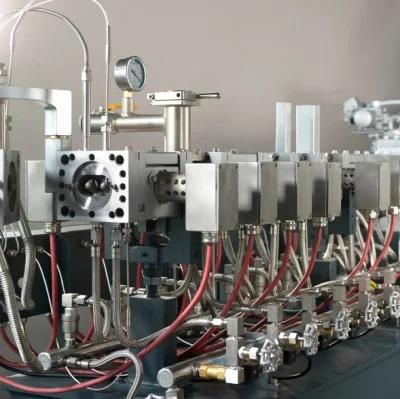HS-Plastic Extruder Granulator CaCO3 Filler Masterbatch Production Line Machine