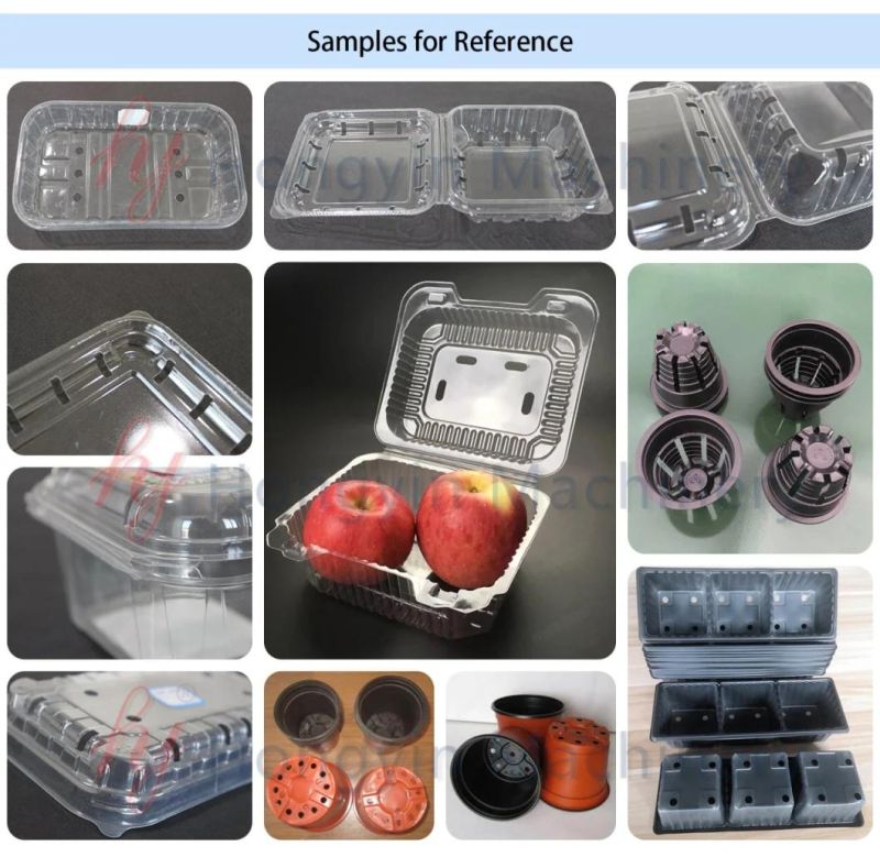 Automatic Thermoforming Machine Full Auto Plastic Flower Pots Flower Trays Forming Machine