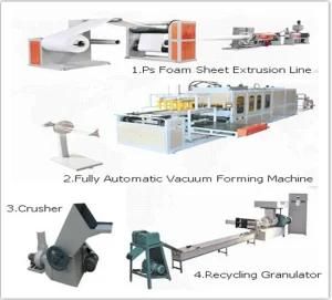 Automatic PS Foam Food Box Thermoforming Machine