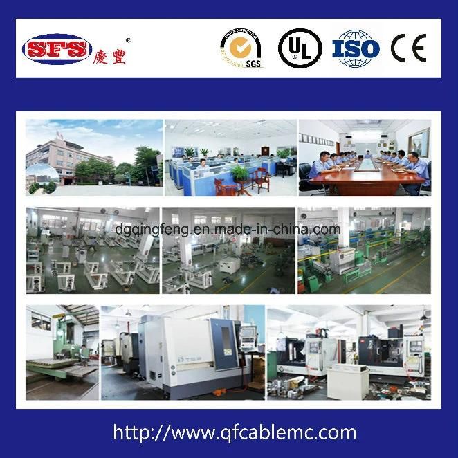 Electronic Wire, Core Wire and Power Wire Insulation Extrusion Production Line (QF-70)