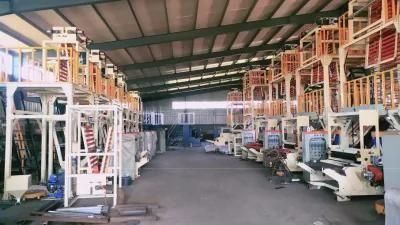 Chsj-Q Agricultural Mulch Film Blowing Machine