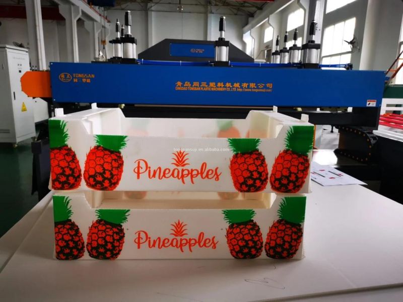 Ce Certificated Plastic Corrugated Hollow Sheet Packing Box Manufacturing Machine