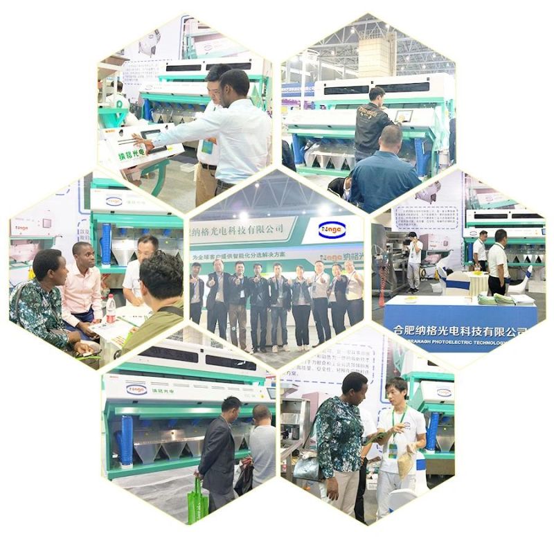 Belt Type Garlic Color Sorting Machine Selecting Machine