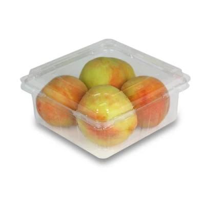 Making Machine Vacuum Forming Machine Thermoforming Plastic Box Making Machine Injection