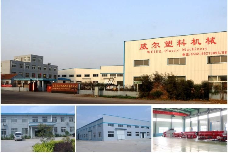 High Speed Output Twin Screw Extruder Plastic Pet Sheet Production Line