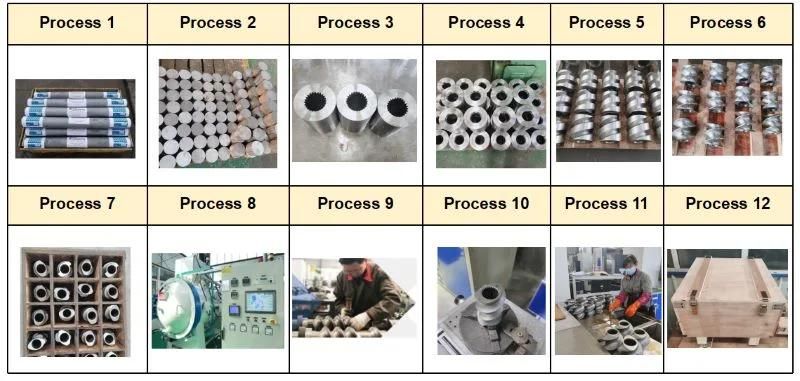 Wear Resistance Screw Segment for Zsk70 Twin Screw Extruder