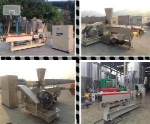 Plastic Extrusion/Pet Pellet Extruder /Plastic Extrusion Machine