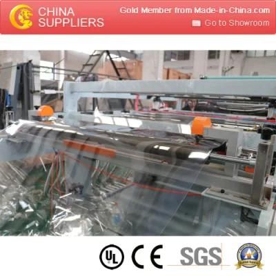 Efficient Pet Sheet Production Line