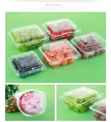 Disposable Plastic Food Container Sushi Dessert Bread Cake Box Forming Machine