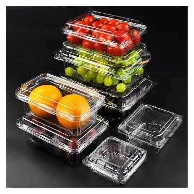 Plastic Container Thermo Vacuum Forming Machine Thermoforming Machine