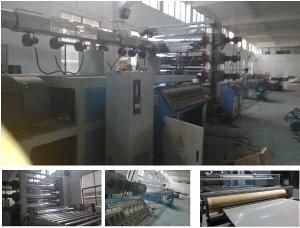 Extrusion Machine for PP PE Board
