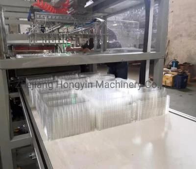 Full Automatic Take Away Lunch Box Making Machine Plastic Thermoforming Machine