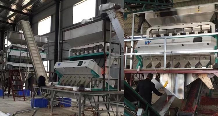 Plastic Bottle Flakes Color Separator Machine of Wycs5-320