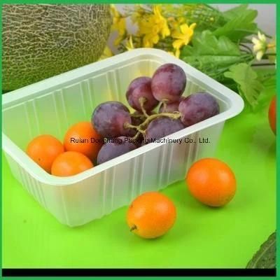 Plastic Fruit Container Making Machine