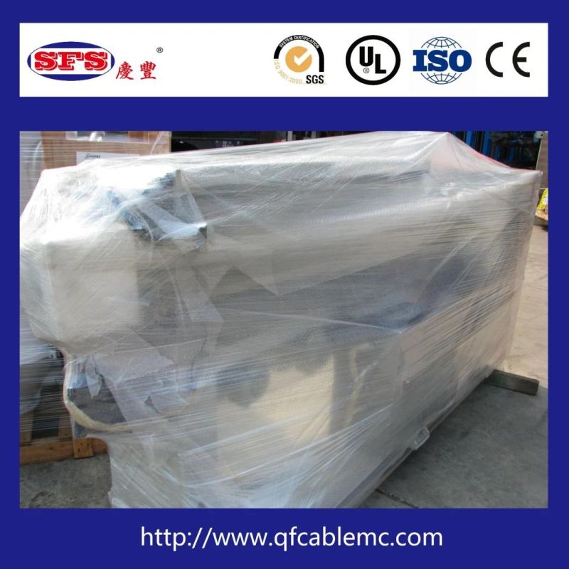 High Quality Big Wire and Cable Processing Irradiation Device for Heat-Shrinkable Tube/Wrapping Tapes/Irradiation Crosslinking Wire and Cable