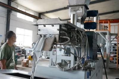 Twin Screw Extrusion System for Powder Coating Manufacturing