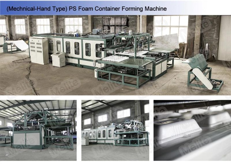 Fully Automatic Fast Food Container Making Line Use Mechanical Arm Mt115/130
