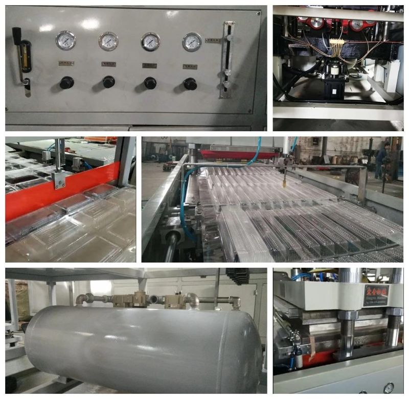 High Efficiency Servo Motor Driven Plastic Lunch Box Thermoforming Machine