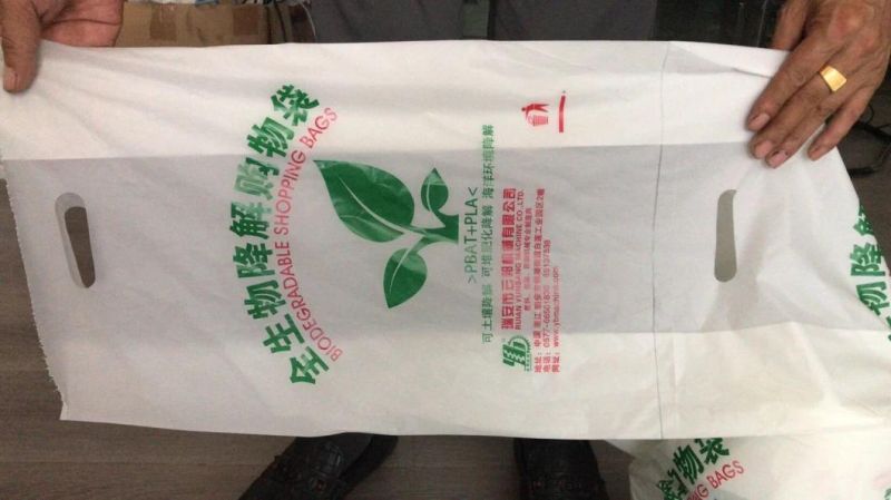 Biodegradable HDPE LDPE Plastic Shopping Bag Film Blowing Machine