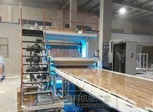 PVC Stone Plastic Decorative Sheet Production Line