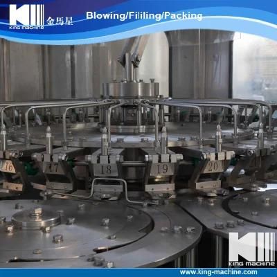 China Famous Brand Small Bottle Making Machine (IBM)