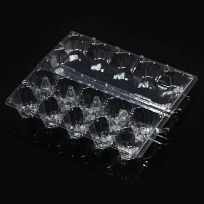 Paper Cup Lid Thermoforming Machine