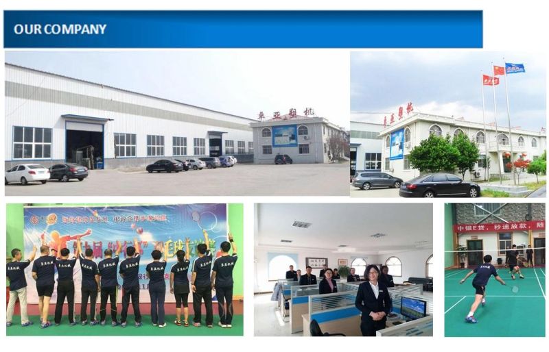 Plastic Machinery Pet/PBT Brush/Painting Brush/Paint Brush/Barbecue Brush Filament/Fiber/Bristle/Hairs Extruding Machine