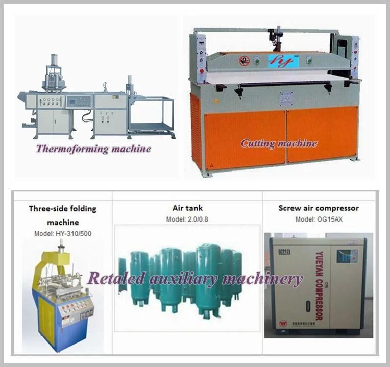 High Efficiency Servo Motor Driven Plastic Lunch Box Thermoforming Machine