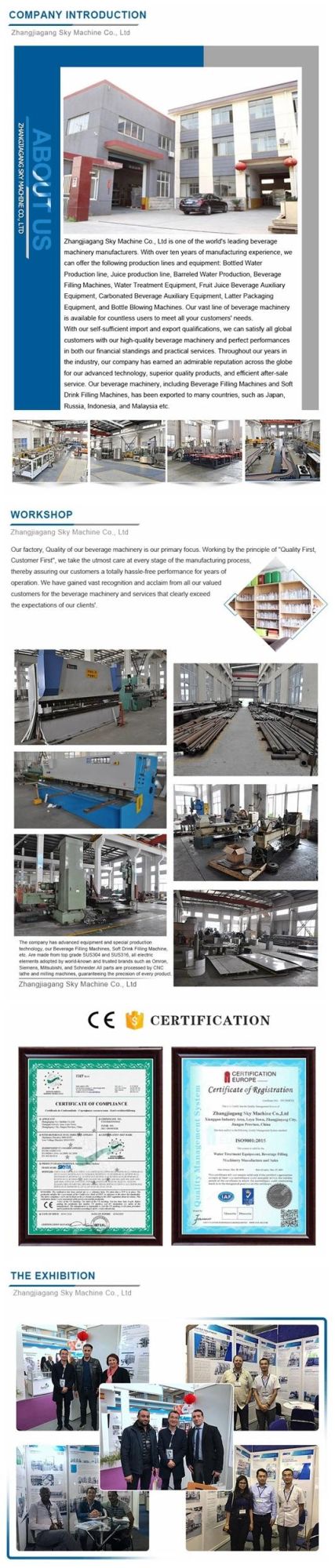 China Manufacturer Sky-3000 Automatic Pet Plastic Water Bottle Blowing Machine for Bottled Water Making Factory