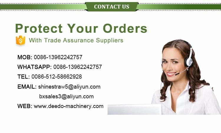 Plastic PPR PE Pipe Machinery Price Equipment