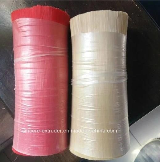 PP/Pet Broom Toothbrush Monofilament Production Line for Christmas Tree Filament