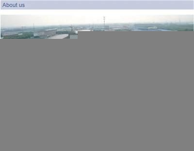 Waste Pet Bottle Flakes Recycling Plant
