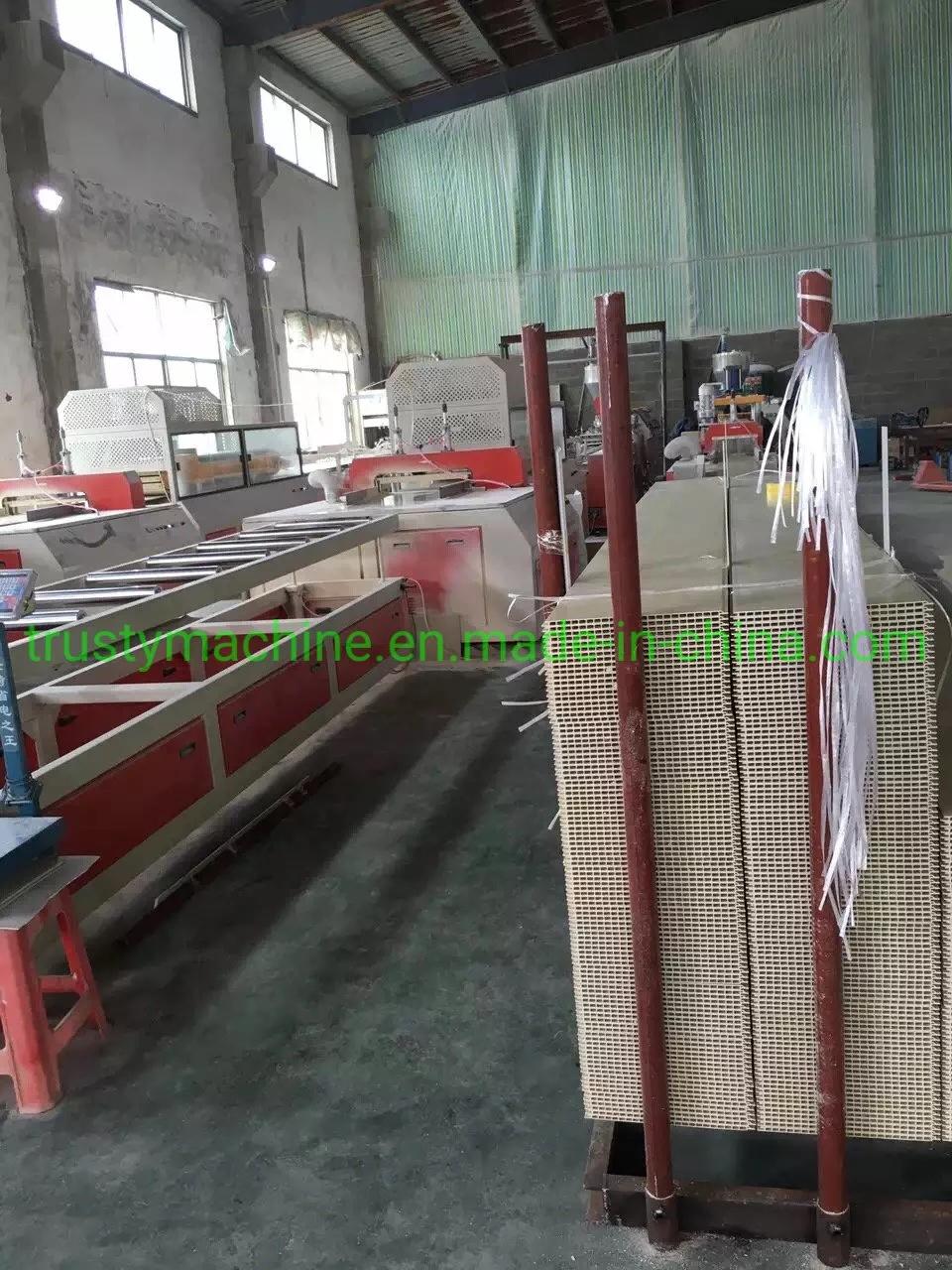 PVC/WPC Decoration Wall Board/Panel Ceiling Panel Extrusion Production Line