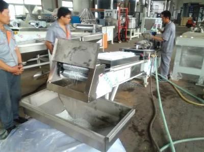 Intermeshing Twin Screw Extruder for Powder Coating