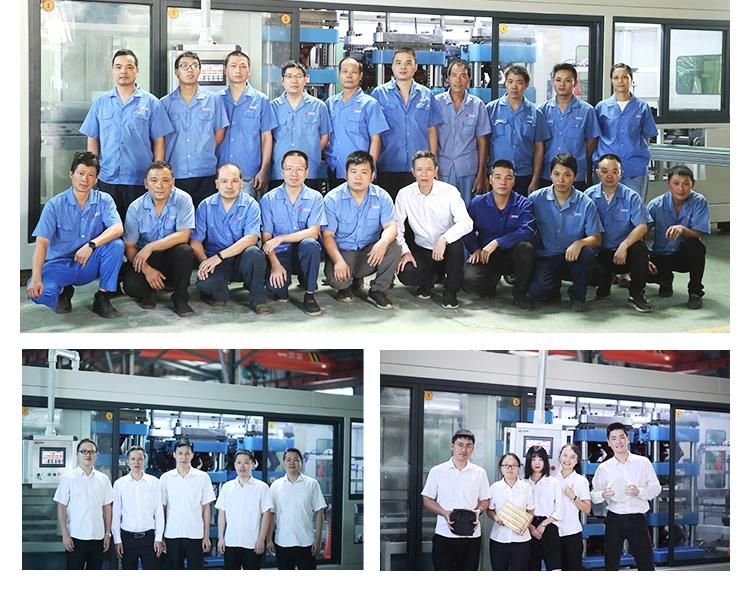 Factory Price Automatic Flat-Plate Aluminum-Plastic Lowest Price Capsule Pill Pharma Blister Packing Machine