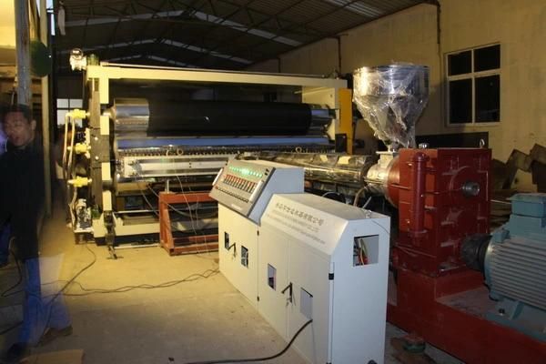 Geo-Membrance Film Extrusion Line PP/Pet/EVA/PE Film Production Line