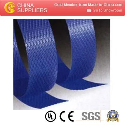 Promotional Fashionable Pet PP Strapping Band Making Machinery